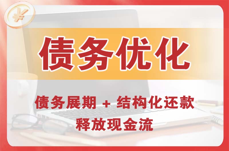 奉节债务优化