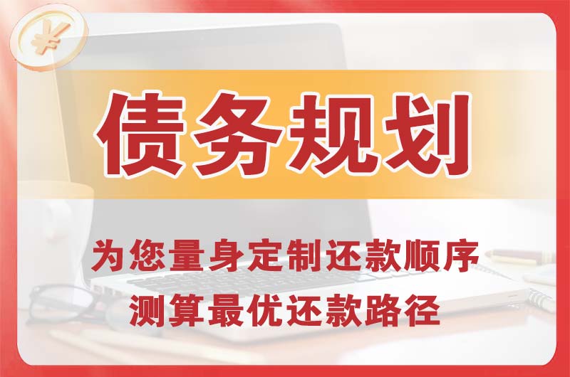 奉节债务规划